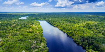 Facts about the fascinating Amazon rainforest