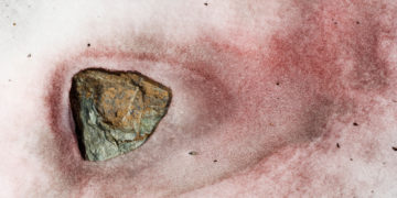 The Antarctic sees an increase in “blood snow”