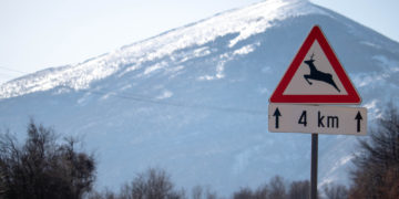 Do road hazard signs actually prevent accidents?