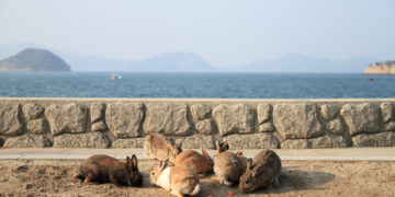 Bizarre and wonderful tiny islands in Japan that you simply must visit
